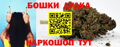 прущие крисы Гатчина