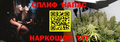PSILOCYBIN Гай