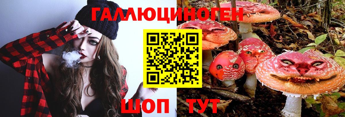 Нефтекумск  Псилоцибиновые грибы Psilocybe  Псилоцибиновые грибы Psilocybe  Вход с VPN 